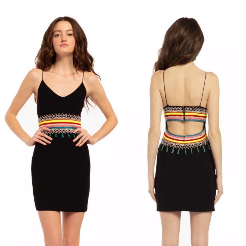 🎀SOLD🎀Alice + Olivia Loralee Embroidered Dress - Picture 3 of 8